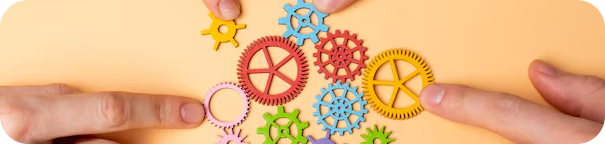 Cooperation Process